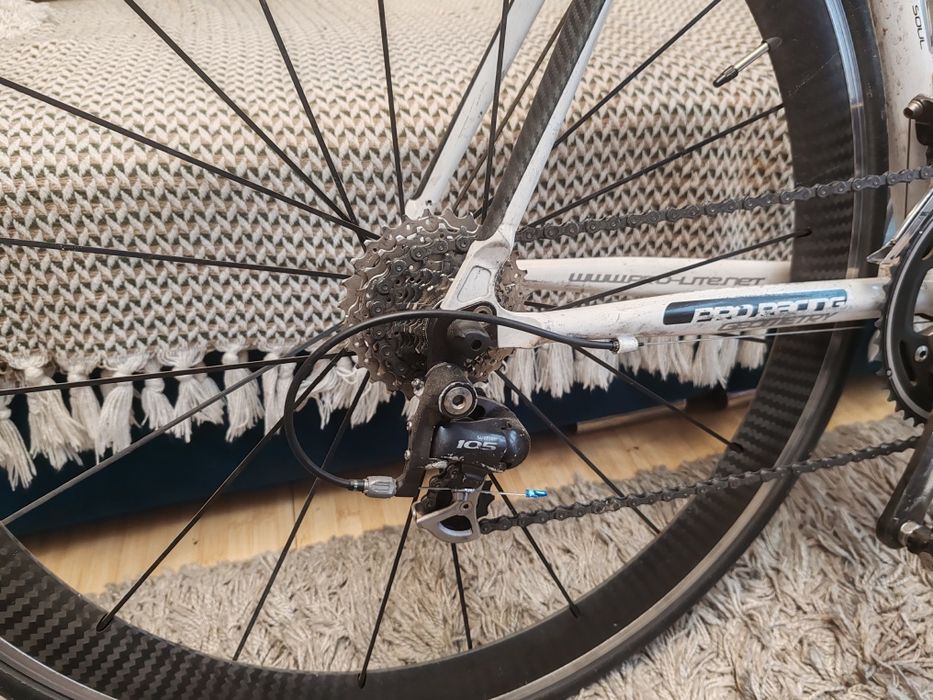 Cursiera ProLite Cuneo Mărime M