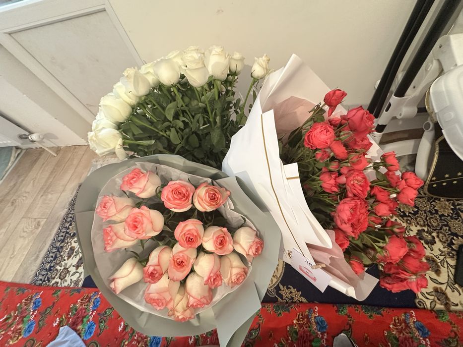 Продам цветы буу