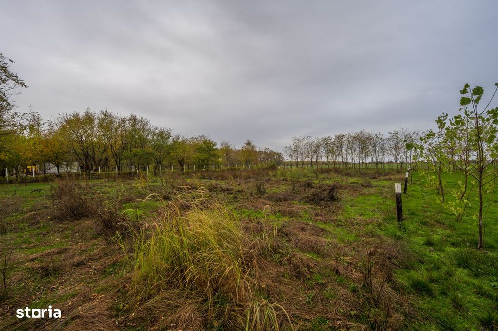 Teren intravilan de vanzare | Cartier rezidential deosebit | Afumati