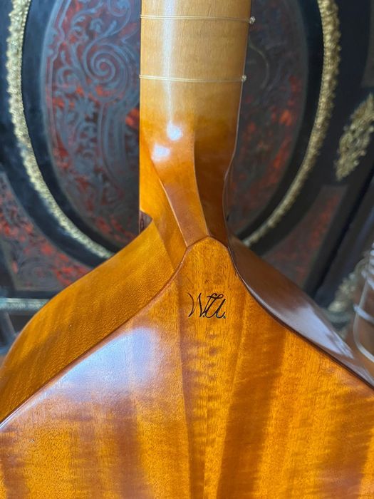 Viola da gamba , un instrument deosebit