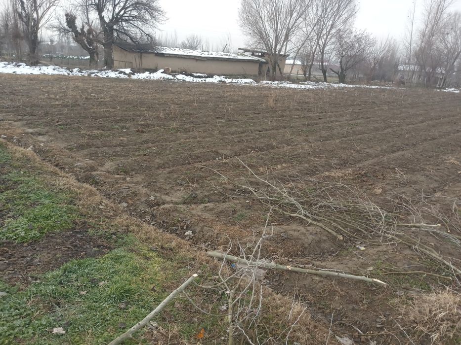 Очик майдон сотилаяпди узимни ховли жойимдан булиб