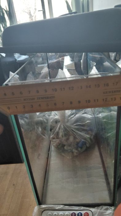 Продам Аквариум 10л.