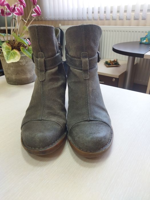 El naturalista боти 36 номер