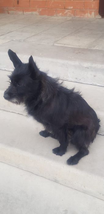 Замечательная стерильная молодая девочка