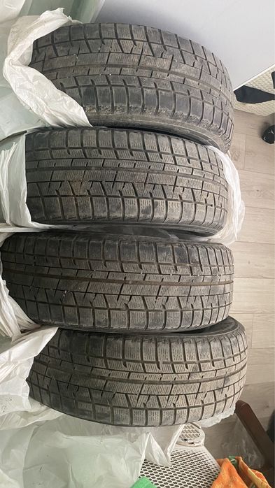 Продам якохаму 4 шт