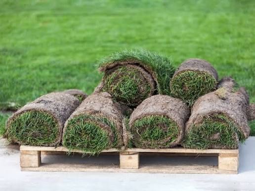 Gazon ekish | tayyor gazon o’rnatish | Газон рулонный