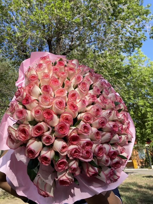 цветы 101 розааа