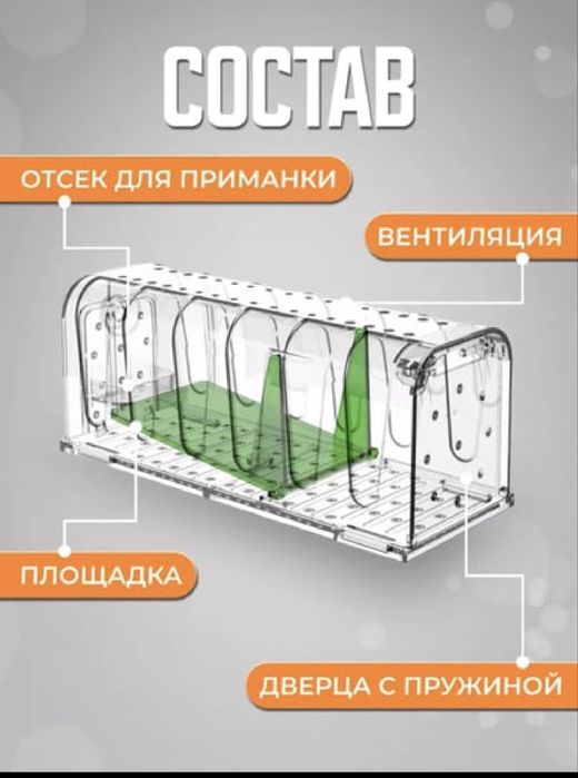 Гуманная мышеловка