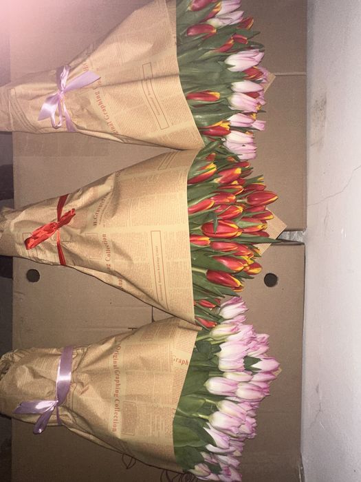 Корпоратив тюльпаны Алматы 600 тг