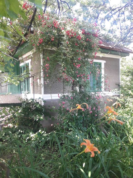 Vând proprietate în Piatra Neamț