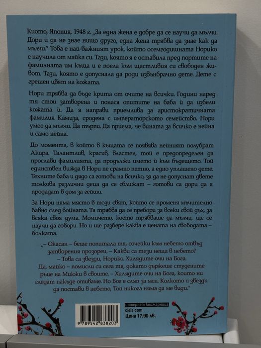 Петдесет думи за дъжд – Аша Леми