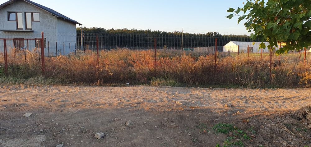 Teren Intravilan 500 mp lângă Pădure – Cozieni, Com. Găneasa, Ilfov