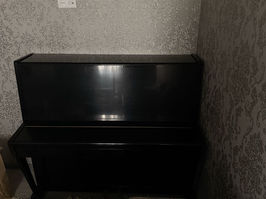 Беларусь пианино