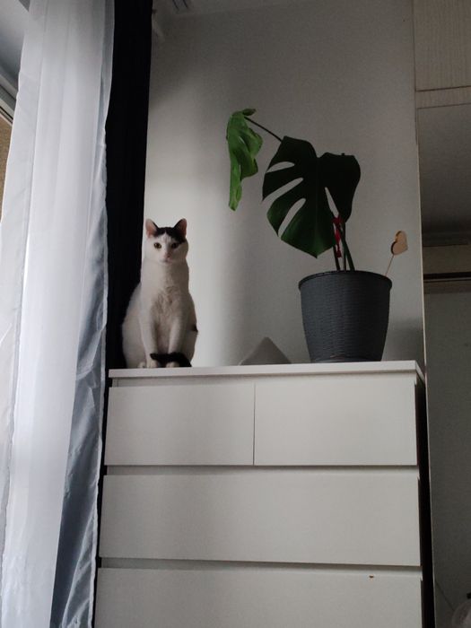 Comodă MALMÖ albă 6 sertare