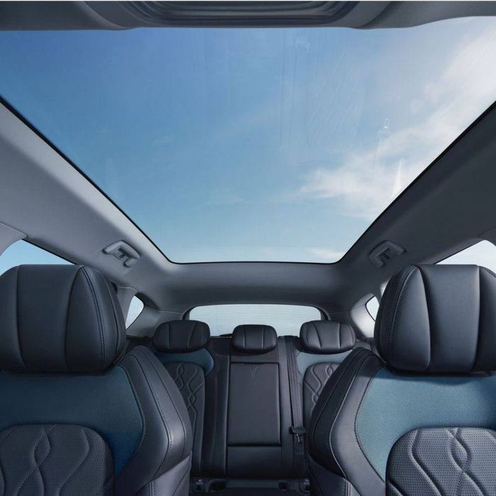 Voyah free 318 apollo tech