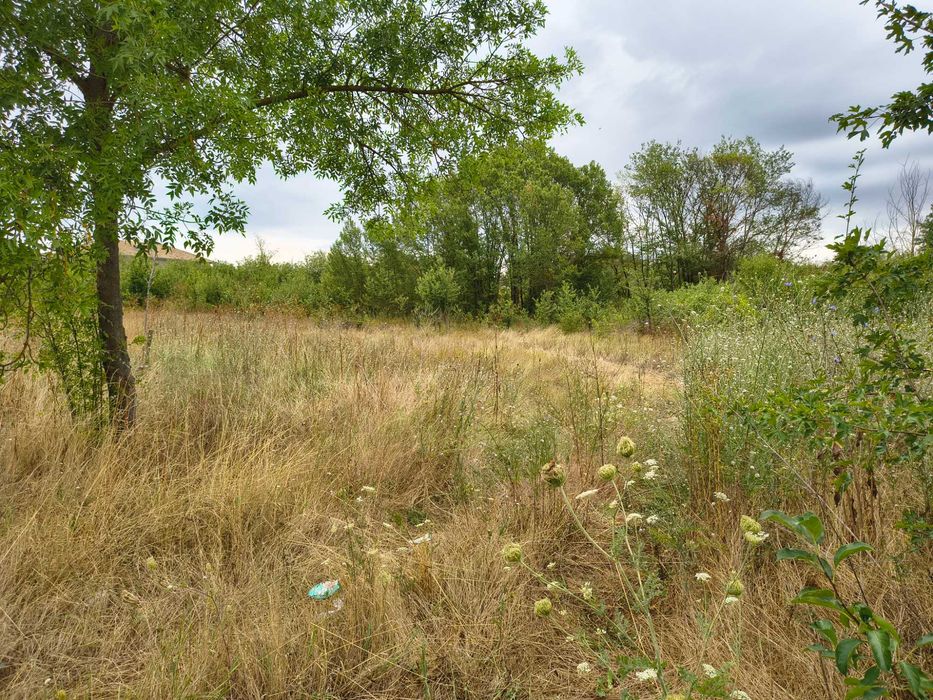 Продава се Парцел в Вълчи дол - 2200 кв.м за 5 €/кв.м - Снимка #2