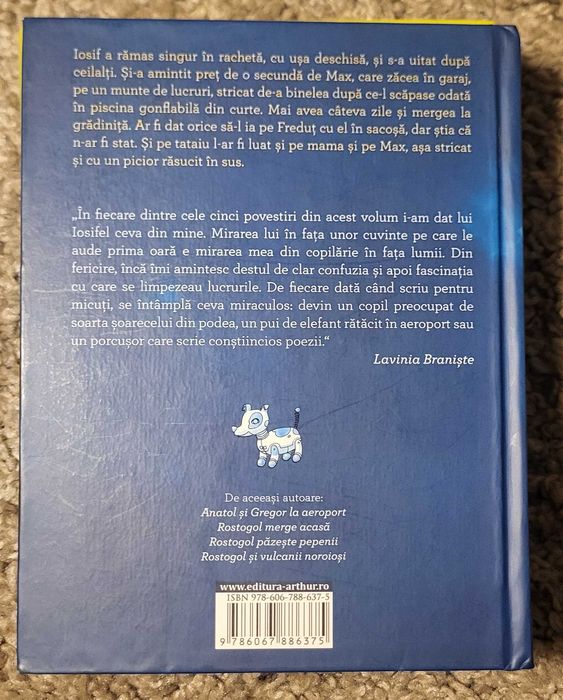 „Duminică și alte povestiri cu Iosifel” – Lavinia Braniște  (ed. Arthur)
