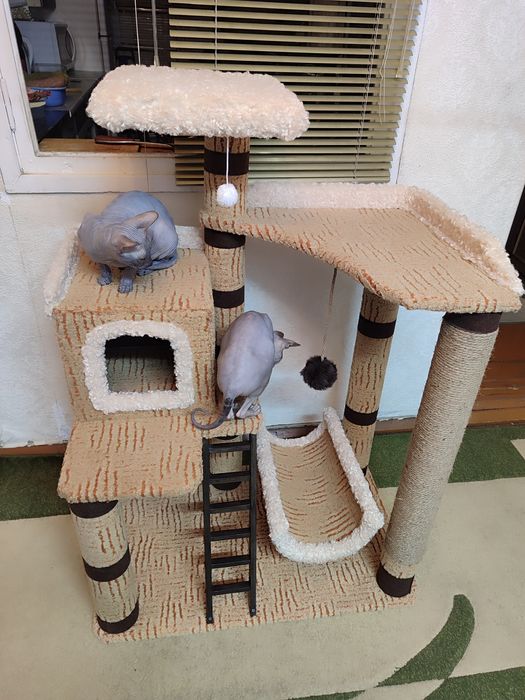 Комплекс для кошечек.