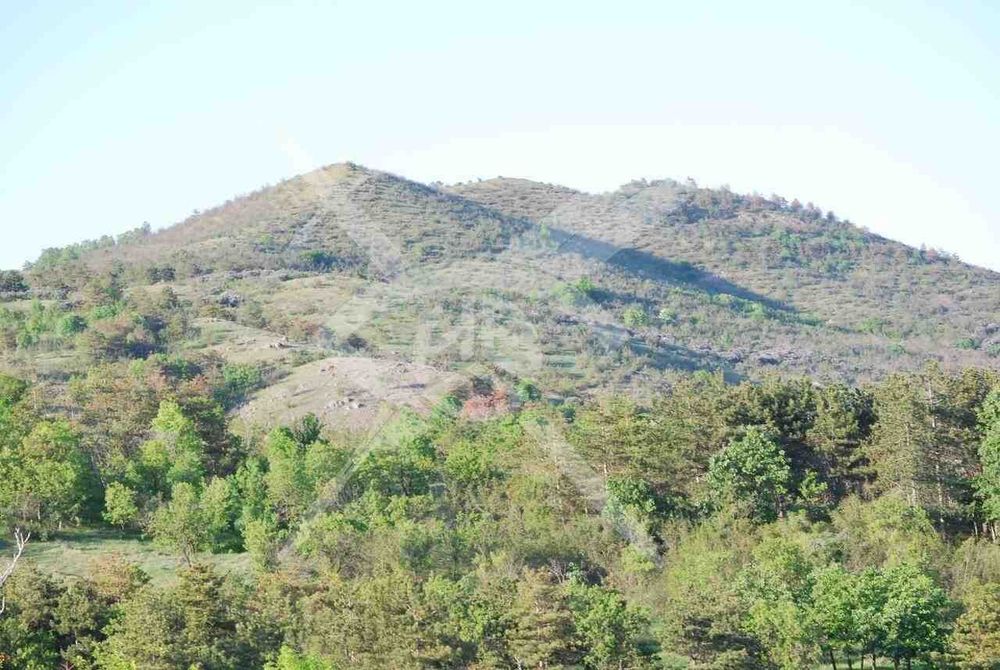 Осем парцела в Банево! 78443