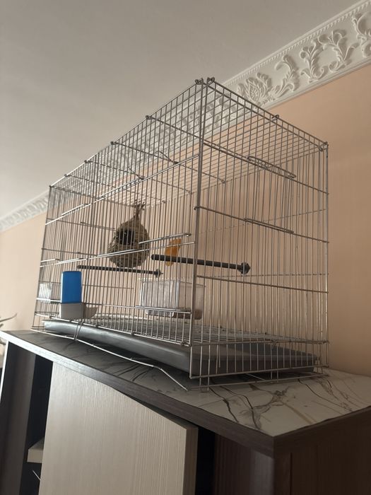Продам клетка для Птицы