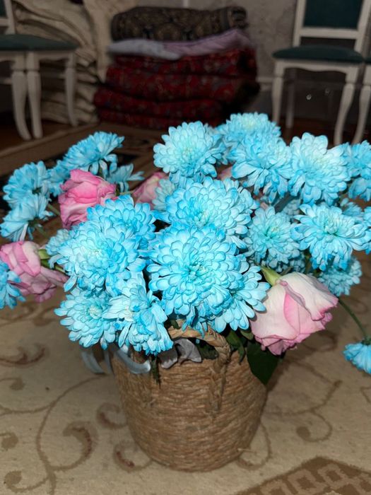 хризантема в корзине б/у