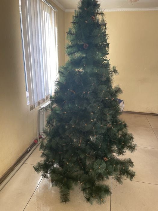 Продам ёлки новогодние