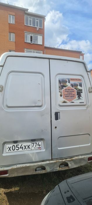 соболь в хорошем состоянии