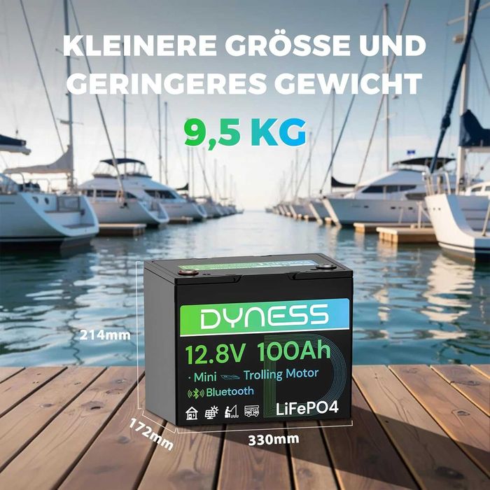 Dyness LiFePO4 12V 100Ah литиева батерия Bluetooth Mini със 100A BMS,макс. 15000 цикъла,12v LiFePO4батерия за каравани,лодки, соларни домашни системи