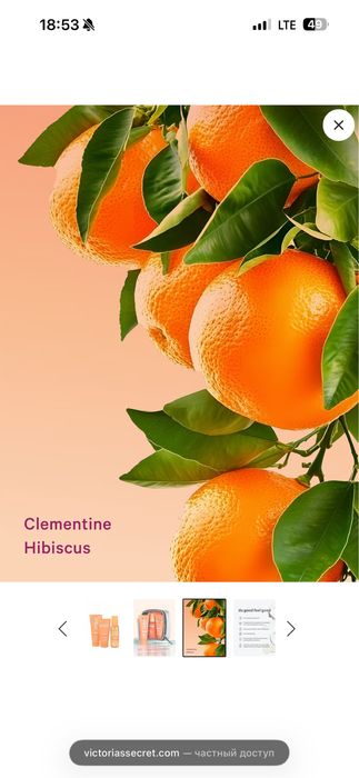 Набор habicus от Victorias secret