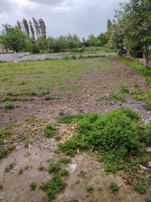 yer uchaskasi sotiladi, manzil: toshkent viloyati quyichirchiq tumani