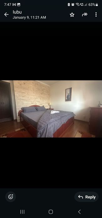 Apartament central, Ana Ipatescu vis-a- vis  Piata Centrala