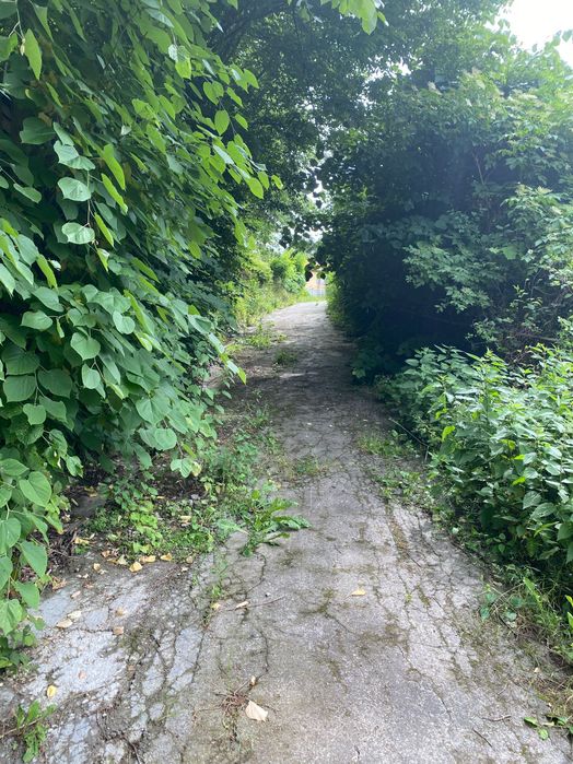 Teren intravilan 1.799 mp zona A Triaj