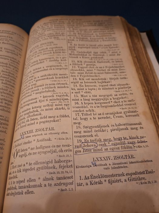 Titlu:
Biblie veche în limba maghiară – secolul XIX, volum complet
Des