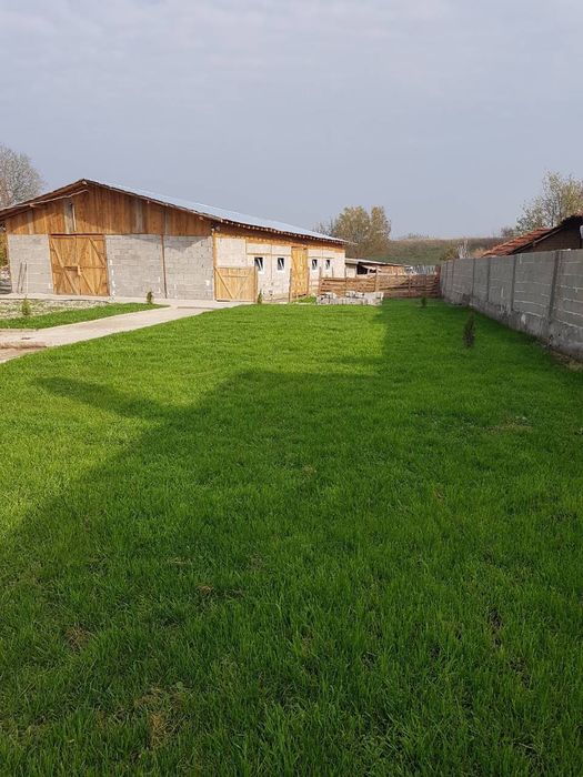 Продава Овцеферма , село Гранит