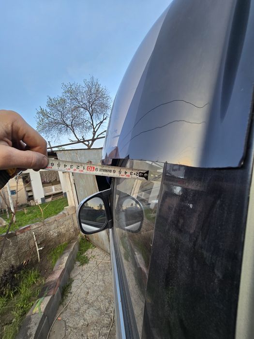 Ветровики делика широкие