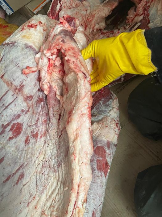 Табақтап семіз байталдын еті сатылады