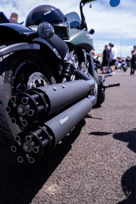 Indian Scout Rogue