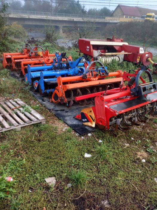 Freze de pământ japoneze aduse recent im țara