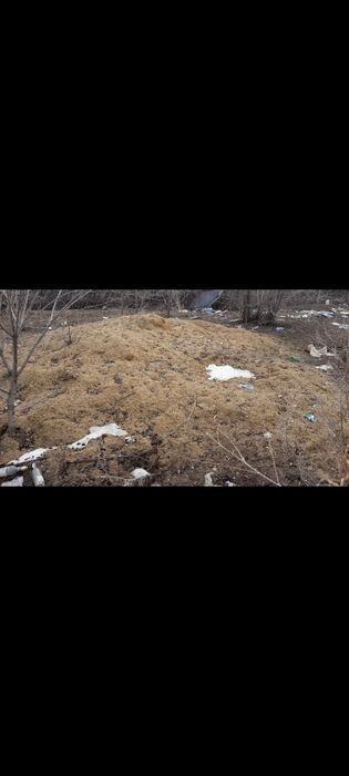 Земельный участок