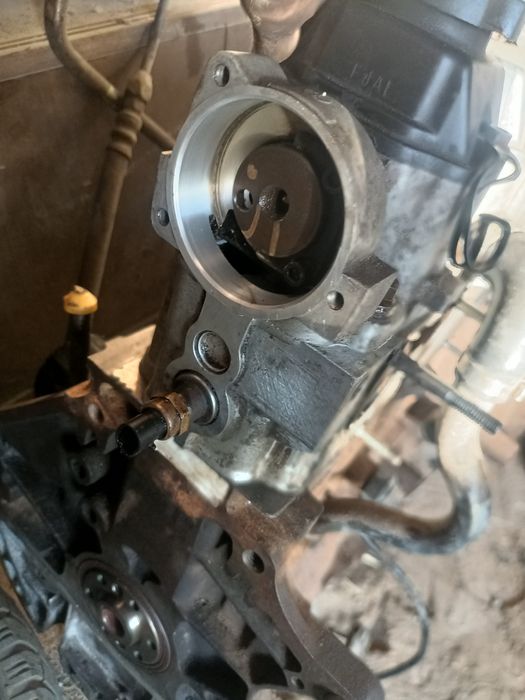 Нексиге маторлар бар