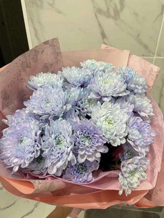 продам цветы срочно торг есть