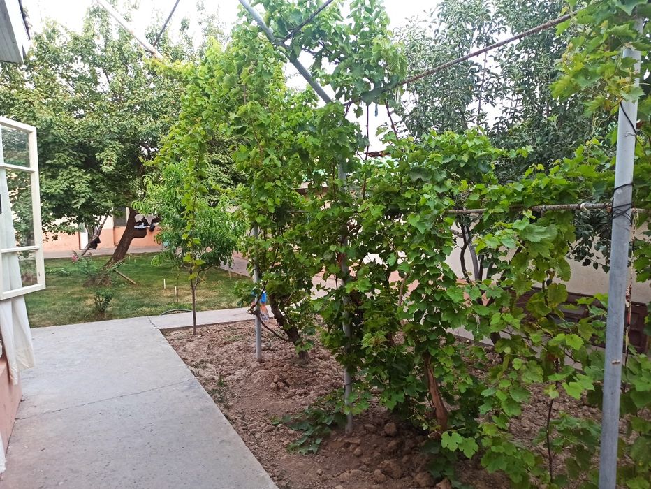 Участка сотилади Хувайдо махалла Эшон бобохон масжидга Якин