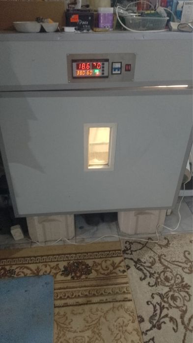 Инкубатор продам