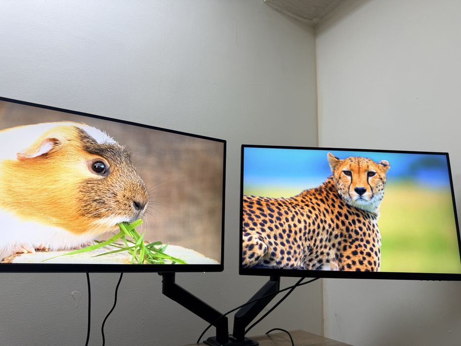 Monitor sotiladi srochna
