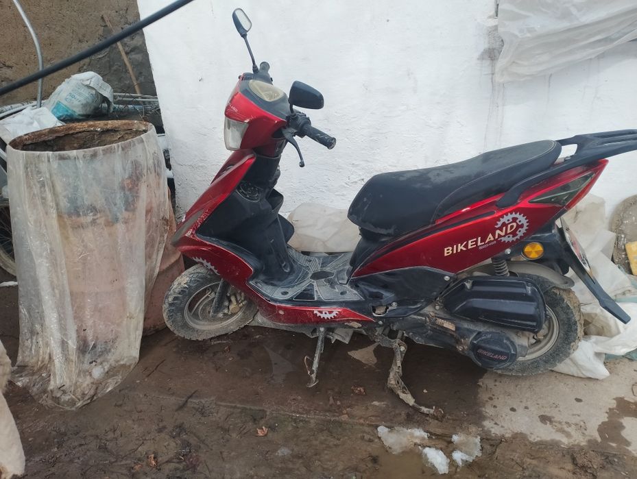 Skyter sotiladi rangi kizil , ychta kaskasi bilan,