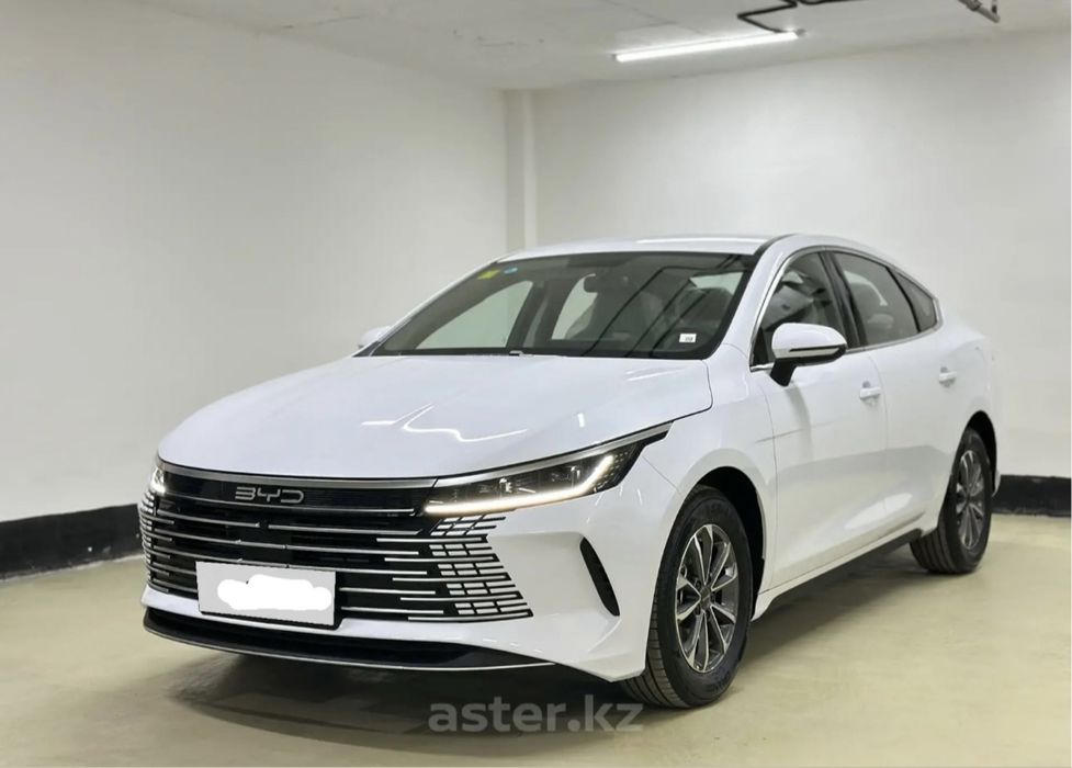 Запчасти на BYD DESTROYER 05