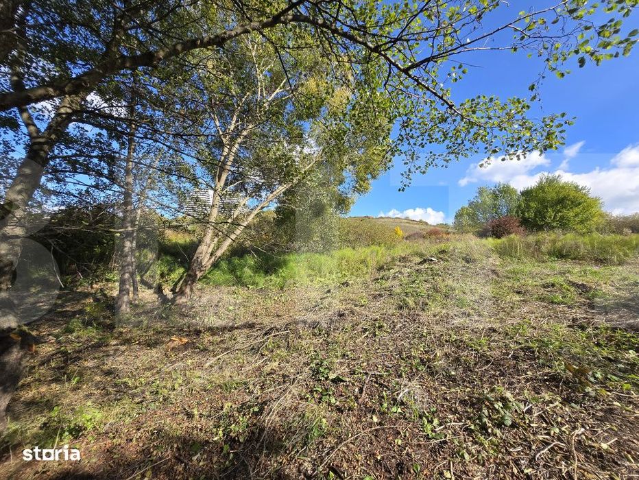 Teren 1023 mp in Cluj-Napoca, zona Campului – oportunitate de invest