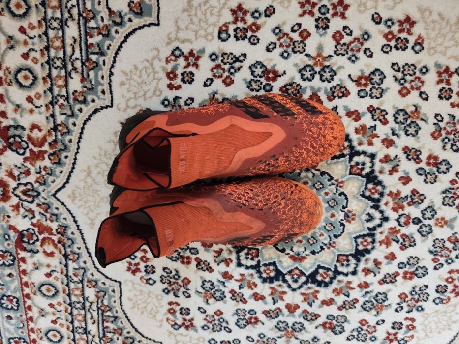 Продам сороконожки Predator