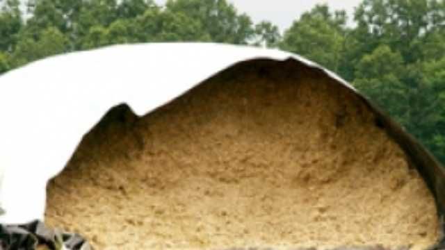 Folie siloz UV alb-negru 150-180 microni 4 ani