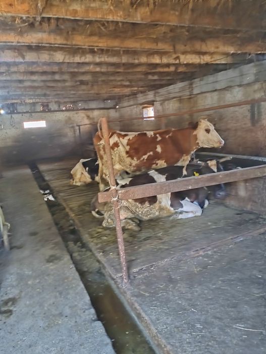 Продажа частного дома